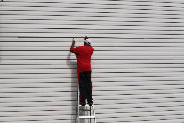 Best Stone Veneer Siding  in Ocklawaha, FL